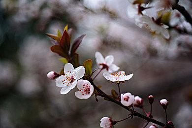 夏日游戏节：《指环王：重返莫瑞亚》剧情介绍预告 秋季发售